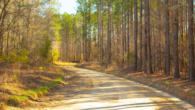 0 Henry Rd, Greeleyville, SC 29056 - photo 1