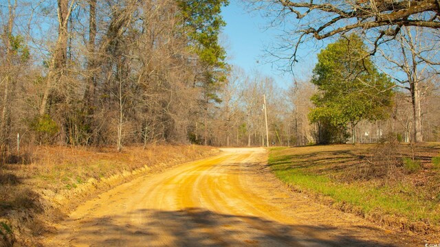 0 Henry Rd, Greeleyville, SC 29056 - photo 11