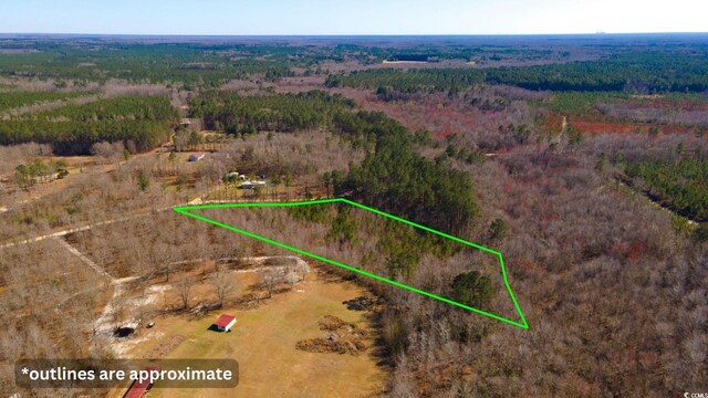 0 Henry Rd, Greeleyville, SC 29056 - photo 10