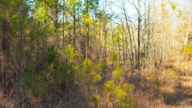 0 Henry Rd, Greeleyville, SC 29056 - photo 9
