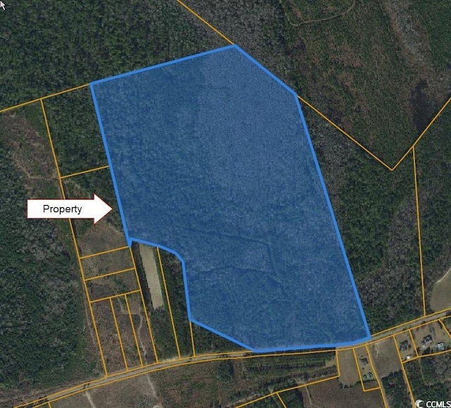 TBD Highway 430, Nichols SC, 29581 land for sale