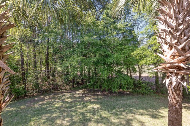 19 Pistachio Loop Unit G, Murrells Inlet, SC 29576 - photo 32