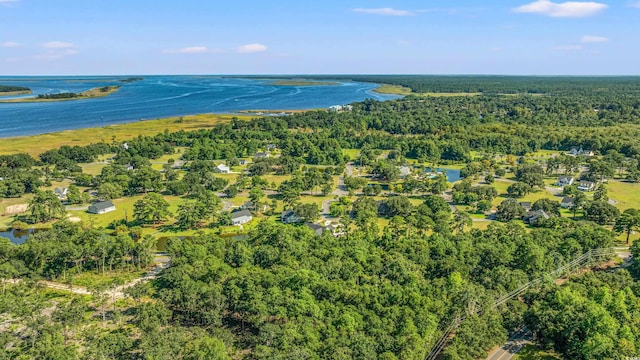 aerial view with a view of trees and a water view