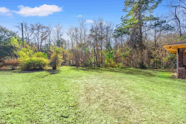 view of yard