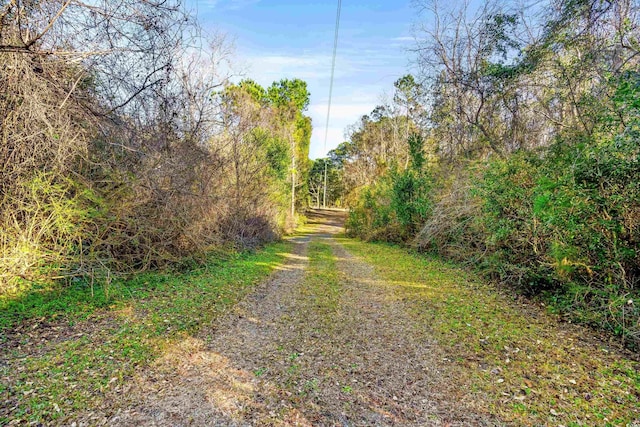 view of street featuring a wooded view