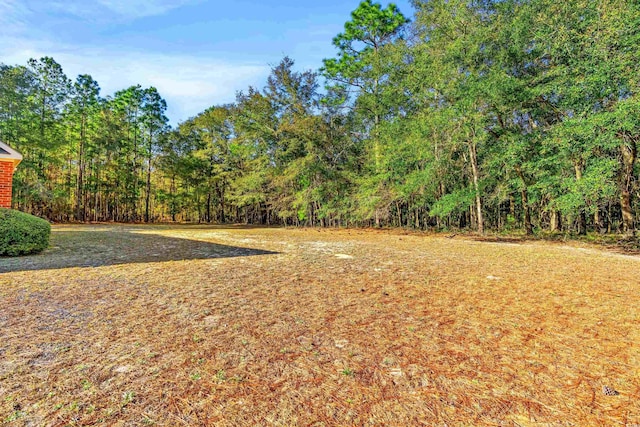 view of yard featuring a wooded view