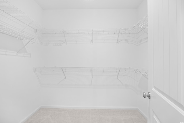 spacious closet featuring light colored carpet