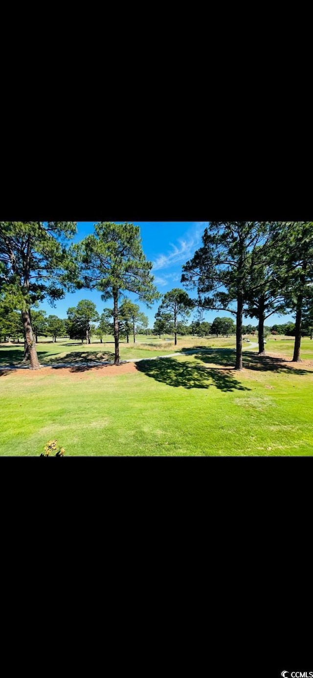4669 Wild Iris Dr Unit 22-2O2, Myrtle Beach, SC 29577 - view of community with a yard