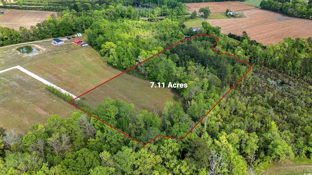 TBD Sheila Dr, Johnsonville, SC 29555 - photo 1