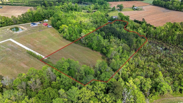 TBD Sheila Dr, Johnsonville, SC 29555 - photo 2