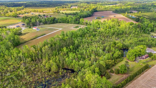 TBD Sheila Dr, Johnsonville, SC 29555 - photo 6