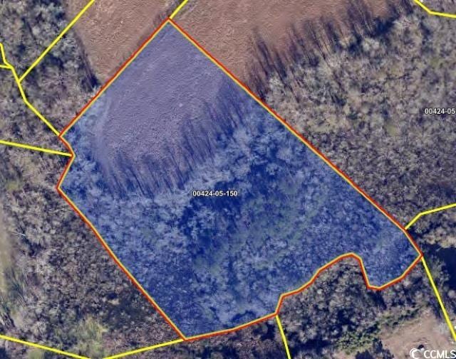TBD Sheila Dr, Johnsonville, SC 29555 - photo 11