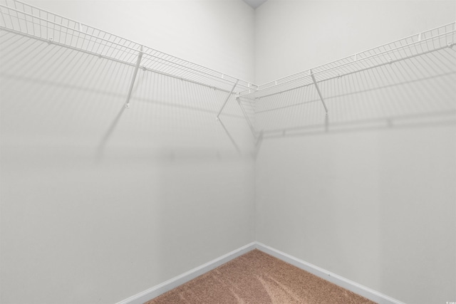 591 Meadowgrass Ct, Myrtle Beach, SC 29588 - walk in closet featuring carpet floors