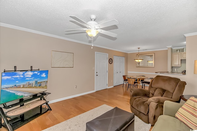 living room featuring ornamental molding, light wood finished floors, and a textured ceiling