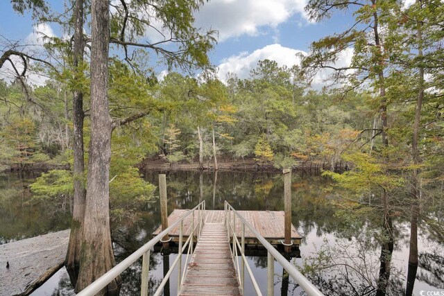 978 Cherrystone Loop, Conway, SC 29526 - photo 24