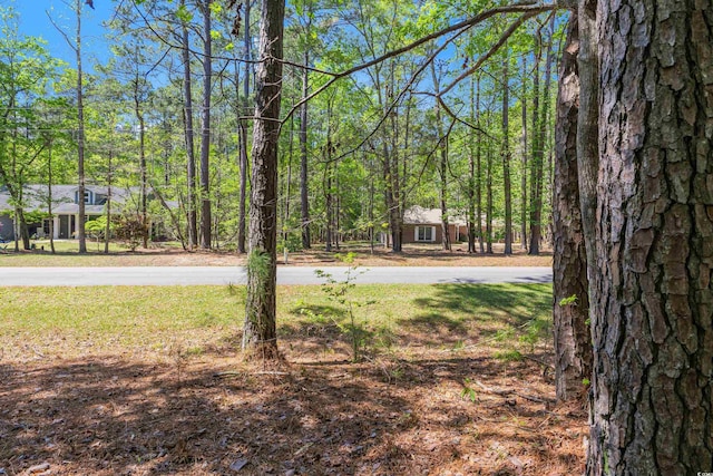 53 Sunfield Dr, Carolina Shores, NC 28467 - photo 4