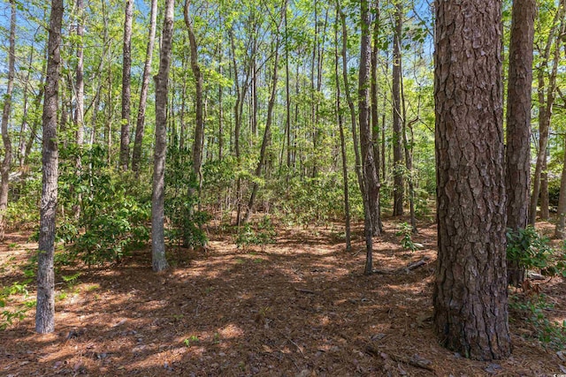 53 Sunfield Dr, Carolina Shores, NC 28467 - photo 5
