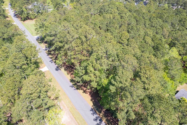 53 Sunfield Dr, Carolina Shores, NC 28467 - photo 8