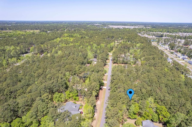 53 Sunfield Dr, Carolina Shores, NC 28467 - photo 9