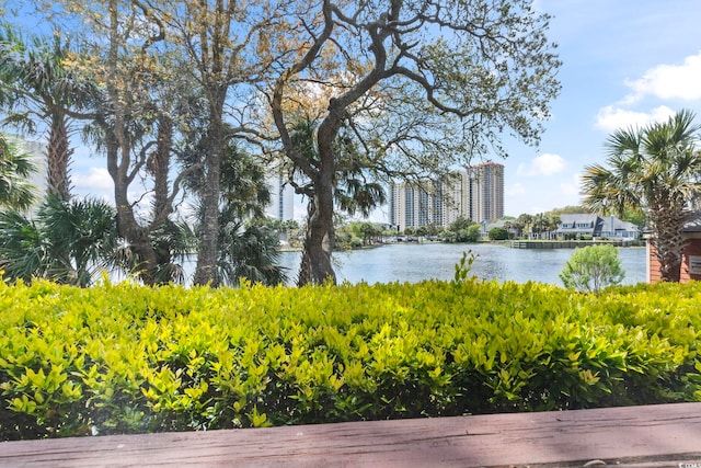 water view