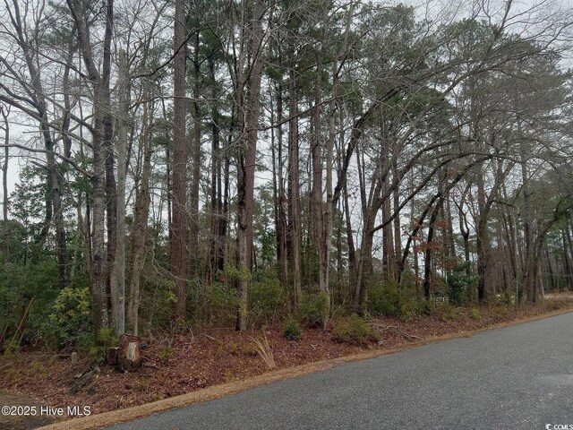 296 Country Club Rd, Whiteville, NC 28472