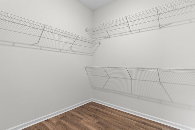 walk in closet with dark wood-style flooring
