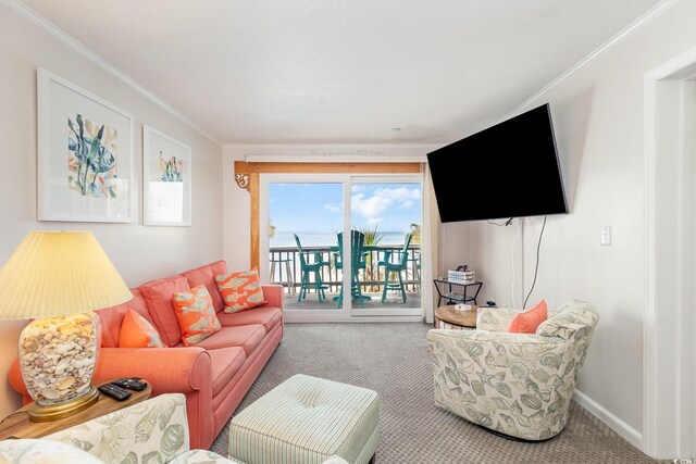 1310 N Waccamaw Dr Unit 211, Garden City Beach, SC 29576 - carpeted living area with crown molding and baseboards