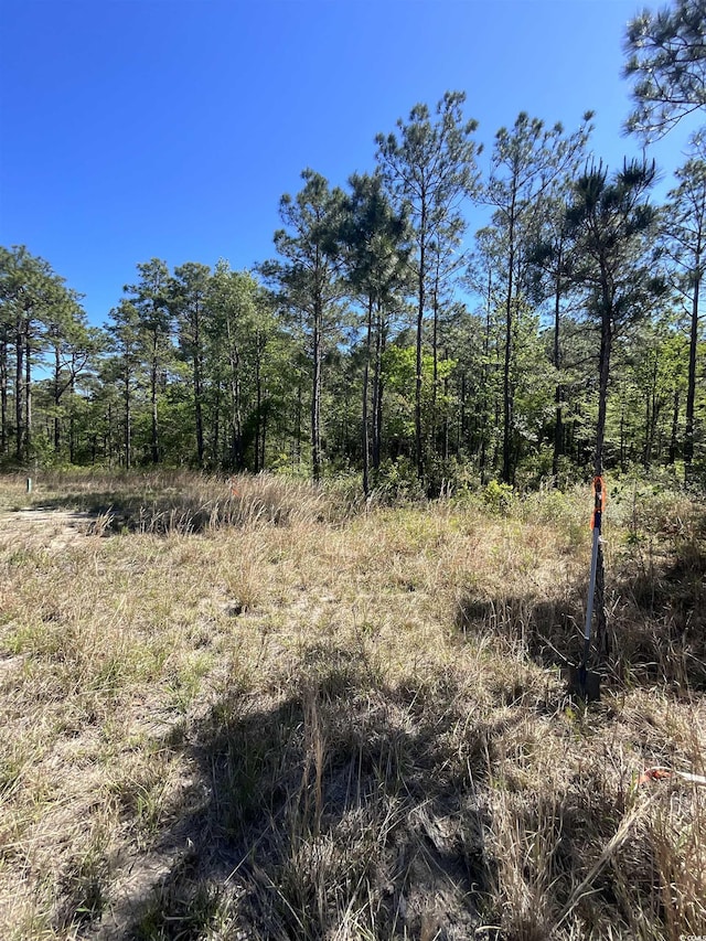 9201 Freewoods Rd, Myrtle Beach, SC 29588
