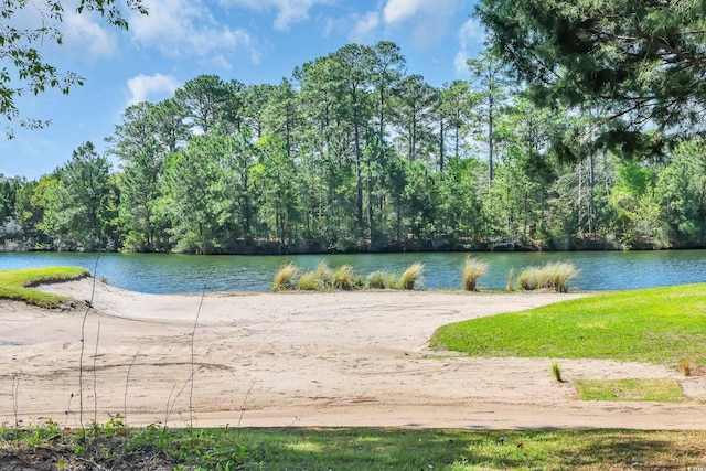 property view of water with a forest view