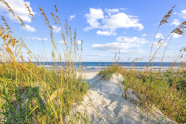 95 Vineyard Pl Unit 33, Pawleys Island, SC 29585 - photo 32