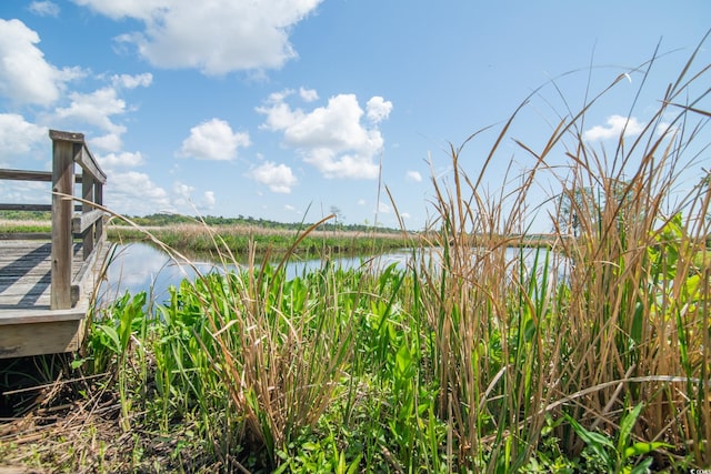 391 Waterford Dr, Georgetown, SC 29440 - water view