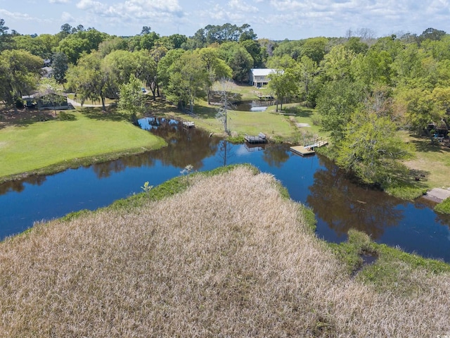 391 Waterford Dr, Georgetown, SC 29440 - drone / aerial view of a nearby body of water