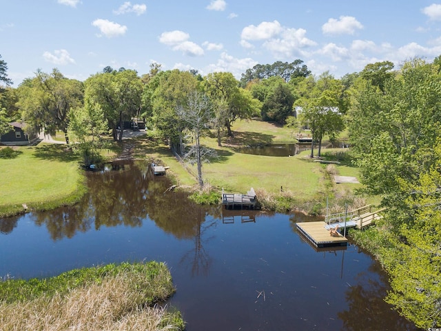 391 Waterford Dr, Georgetown, SC 29440 - dock area with a yard, view of scattered trees, and a water view