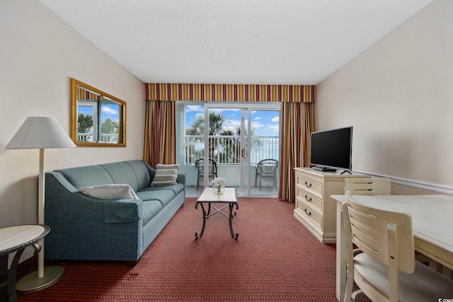 2000 Ocean Blvd N Unit 216, Myrtle Beach, SC 29588 - living area with dark colored carpet