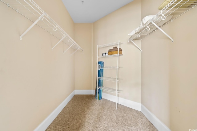 2180 Waterview Dr Unit 632, North Myrtle Beach, SC 29582 - walk in closet featuring carpet floors