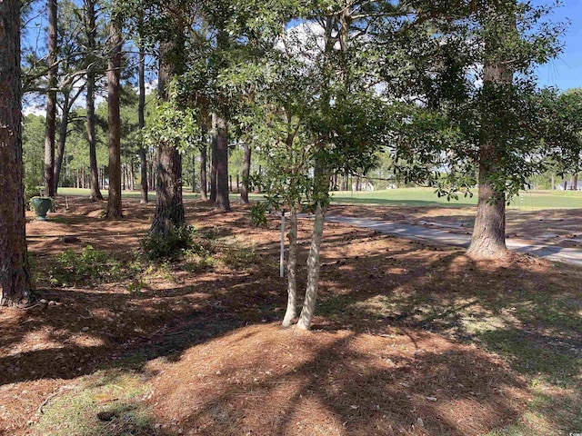 884 Sandpiper Bay Dr SW, Sunset Beach, NC 28468 - photo 2
