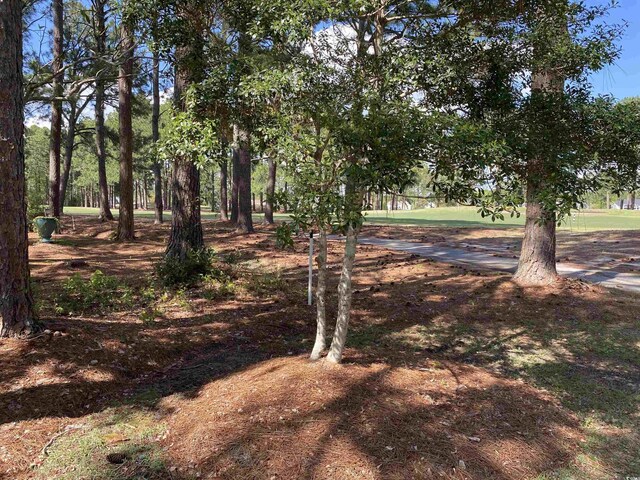 884 Sandpiper Bay Dr SW, Sunset Beach, NC 28468 - photo 30