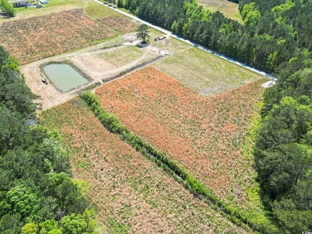 LOT8 Jewel Ln, Conway, SC 29527 - photo 6