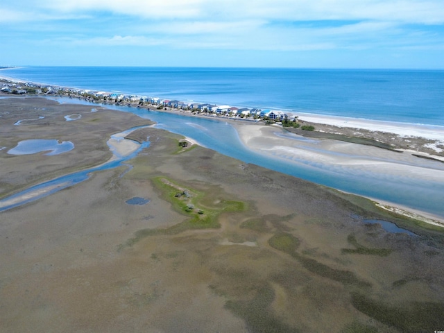 147 Brown Pelican Loop, Pawleys Island, SC 29585 - drone / aerial view of waterfront with a beach