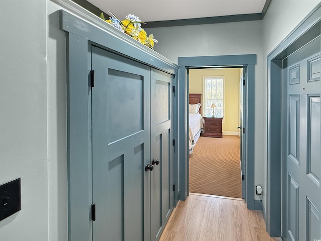 147 Brown Pelican Loop, Pawleys Island, SC 29585 - corridor with light wood finished floors and light colored carpet