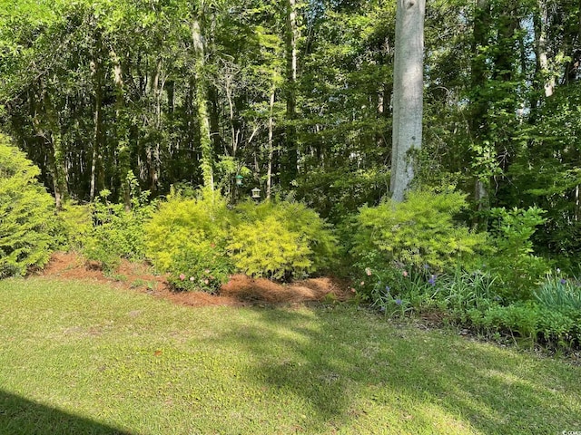 view of nature