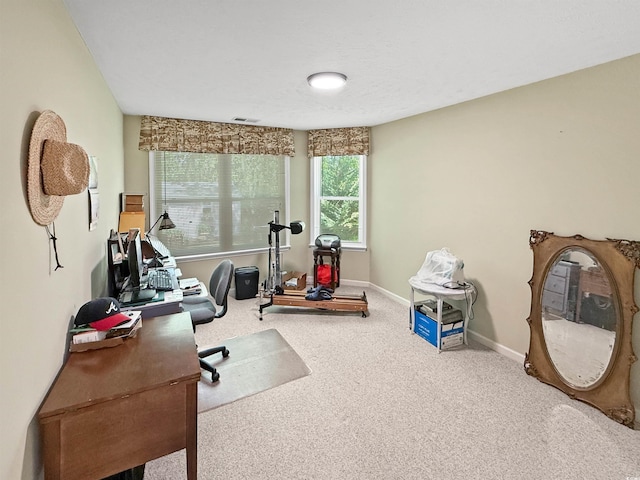 office with baseboards, carpet flooring, and visible vents