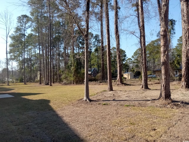 525 Vineland Dr, Whiteville, NC 28472 - photo 22