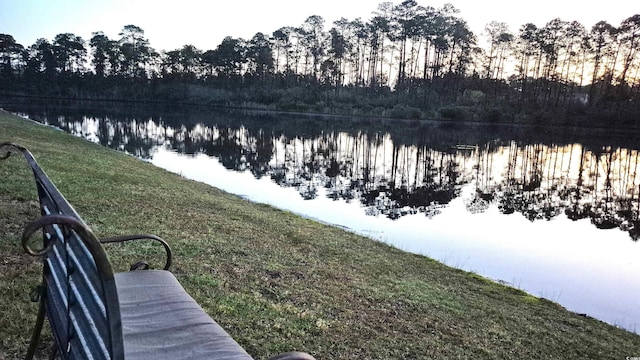 897 Wild Leaf Loop, Conway, SC 29526 - water view