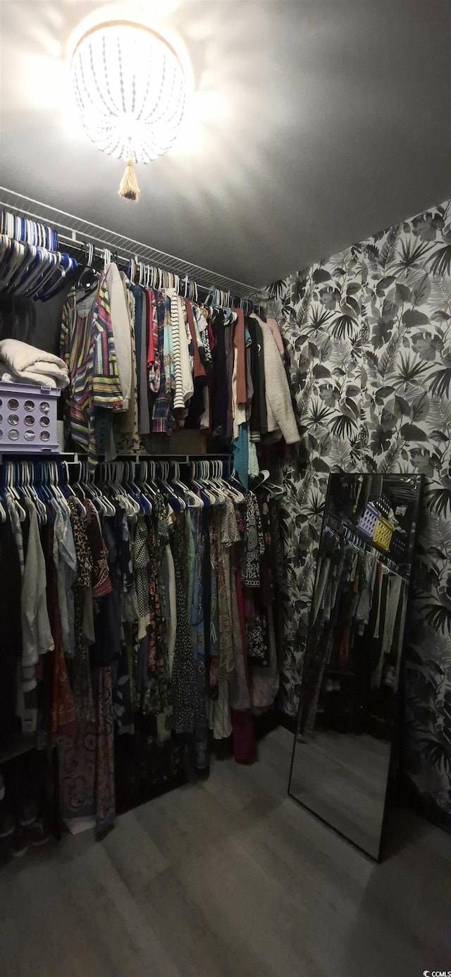 897 Wild Leaf Loop, Conway, SC 29526 - view of spacious closet