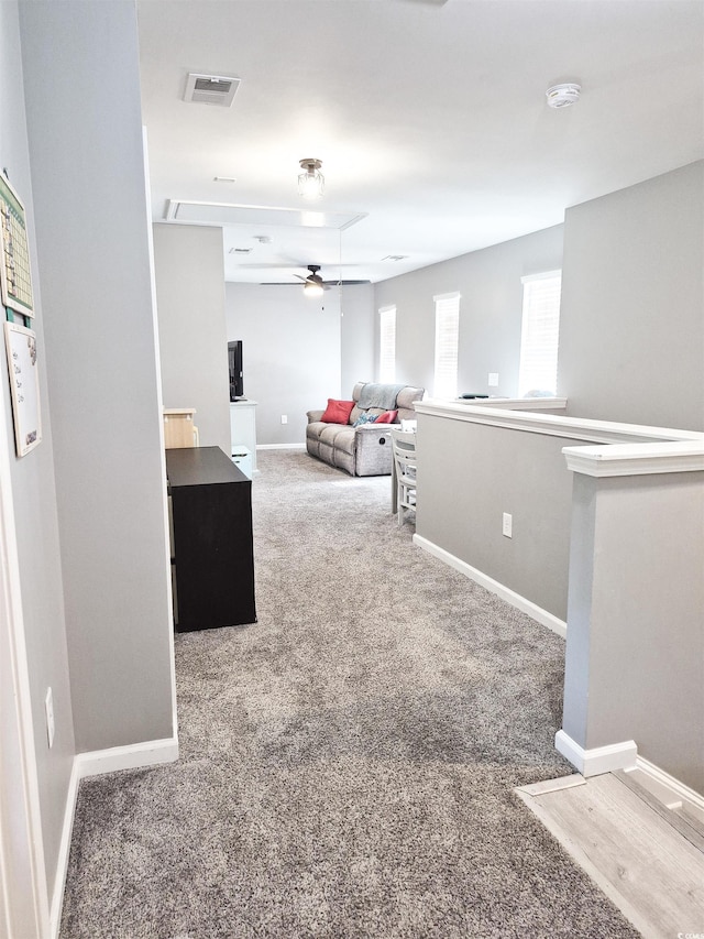 897 Wild Leaf Loop, Conway, SC 29526 - corridor featuring carpet floors and baseboards