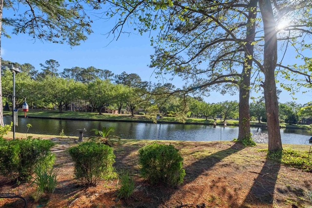 111 Cedar Ridge Ln, Conway, SC 29526 - water view