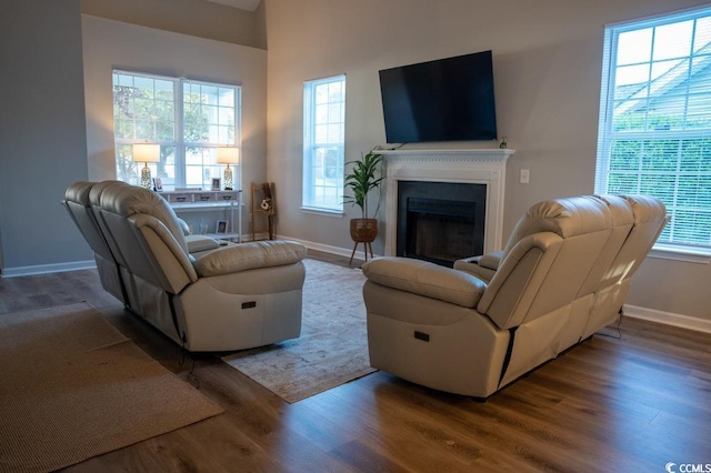 2039 Chadbury Ln, Myrtle Beach, SC 29588 - living room featuring wood finished floors, a fireplace, and healthy amount of natural light