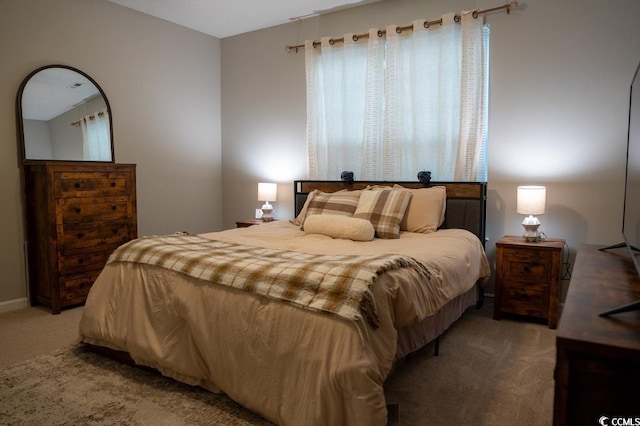 bedroom featuring carpet
