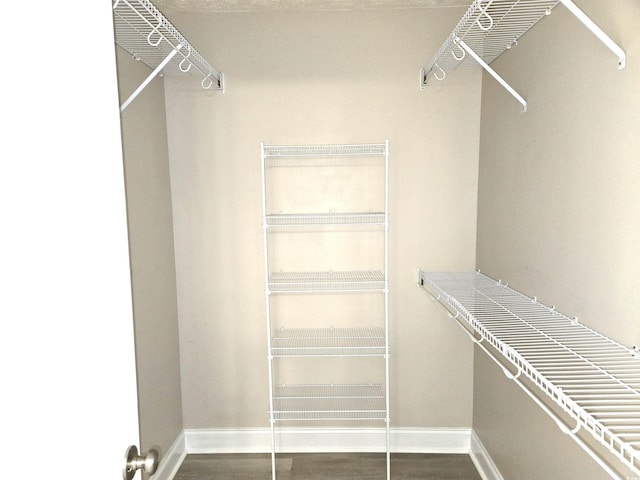 walk in closet with dark wood-type flooring